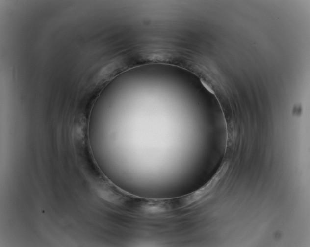 X0000101170175200807111100