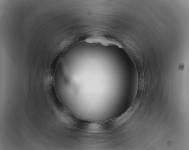 X0000101170176200807111100