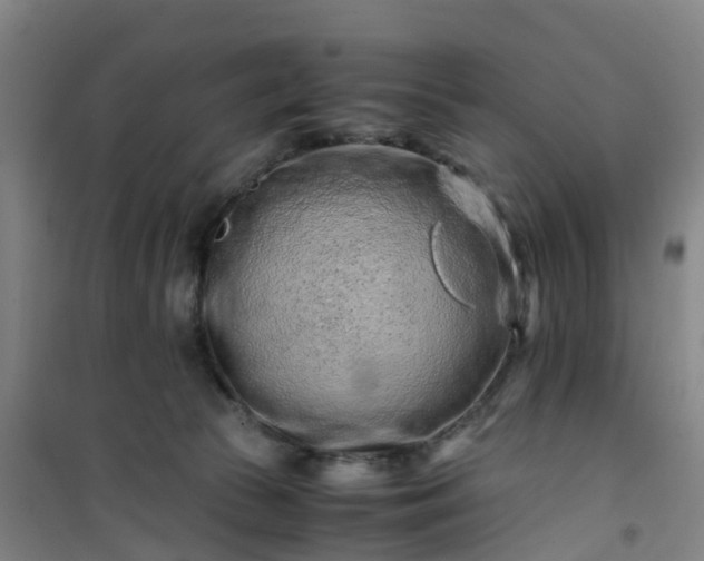 X0000101170177200807111100