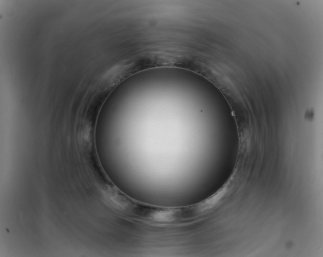 X0000101170178200807111100