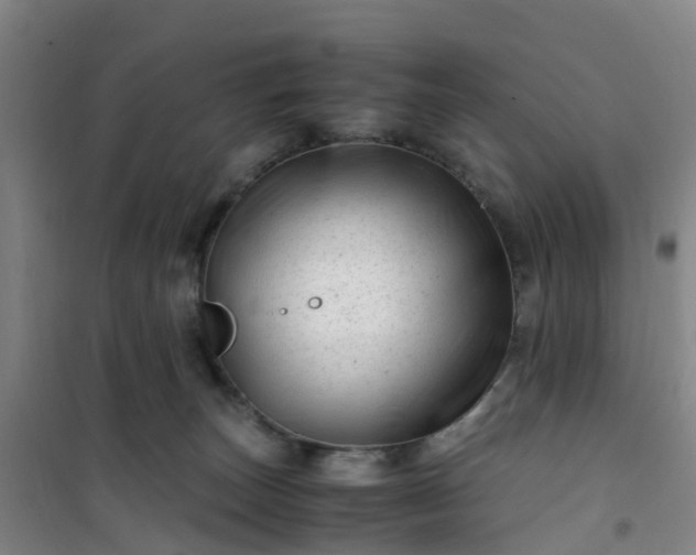 X0000101170179200807111100