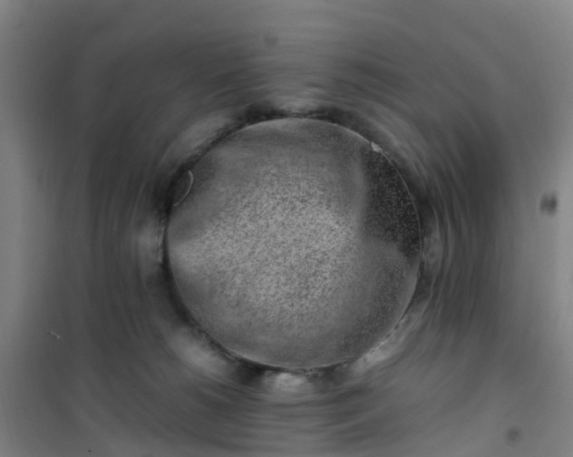 X0000101170180200807111100