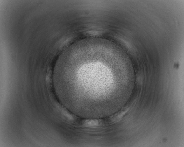 X0000101170181200807111100