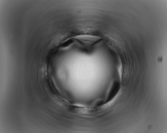 X0000101170182200807111100