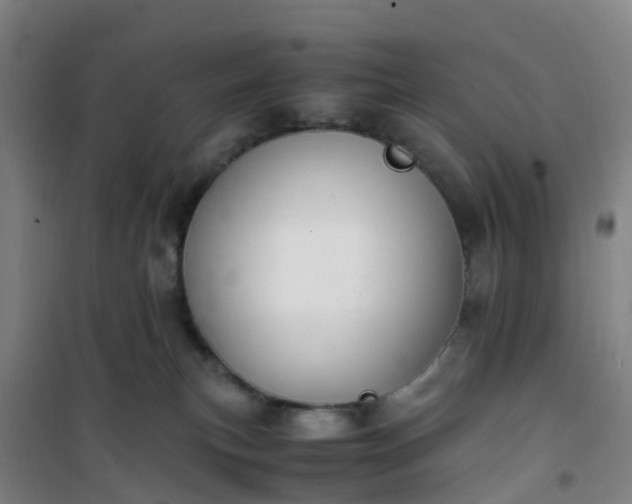 X0000101170183200807111100