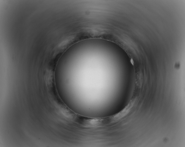 X0000101170184200807111100