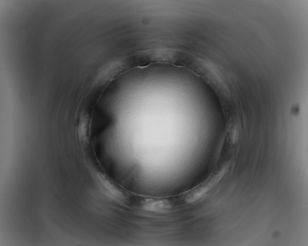 X0000101170185200807111100