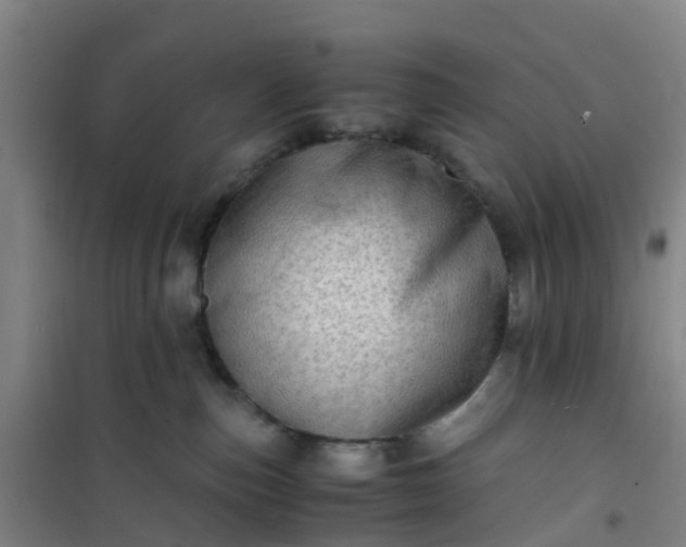 X0000101170187200807111100