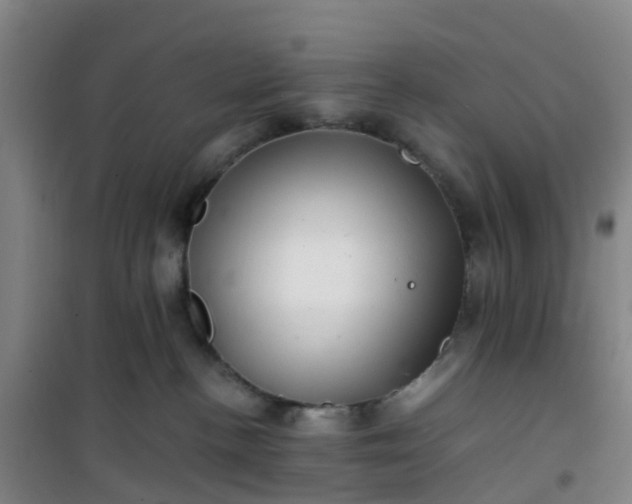 X0000101170188200807111100