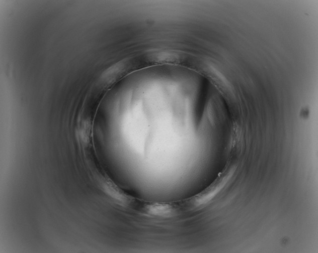 X0000101170189200807111101