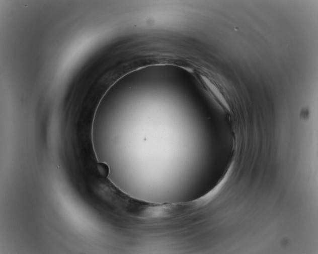 X0000101170190200807111101