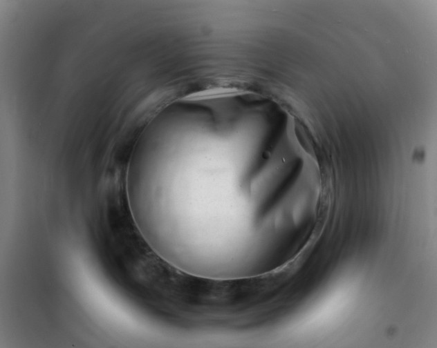 X0000101170191200807111101