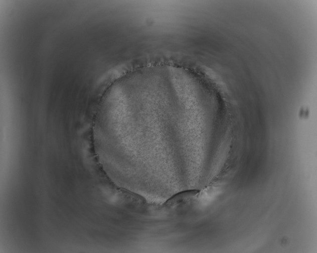 X0000101170192200807111101