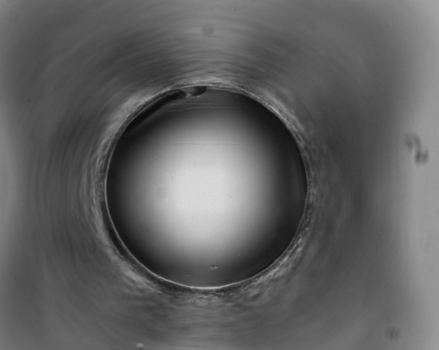 X0000101170193200807111100