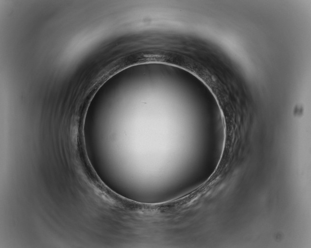 X0000101170194200807111100
