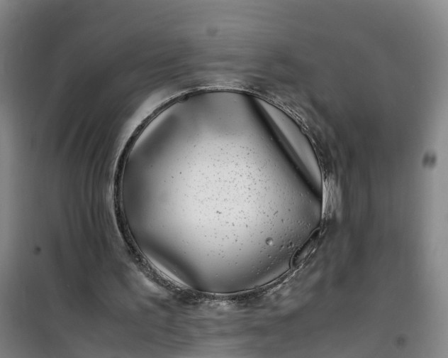 X0000101170195200807111100