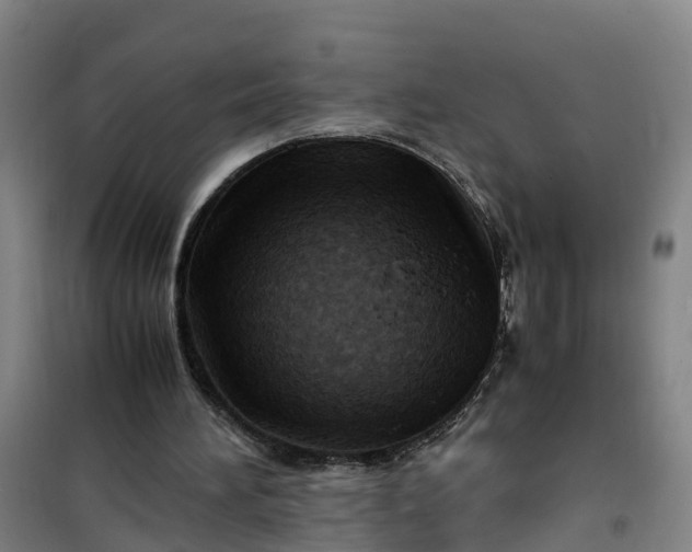 X0000101170196200807111100