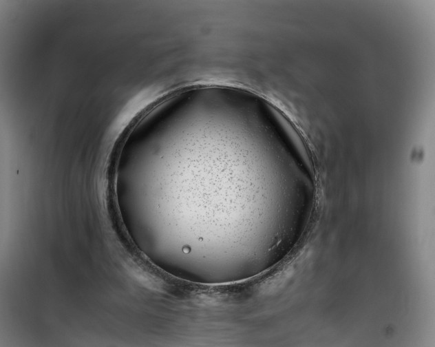 X0000101170199200807111100