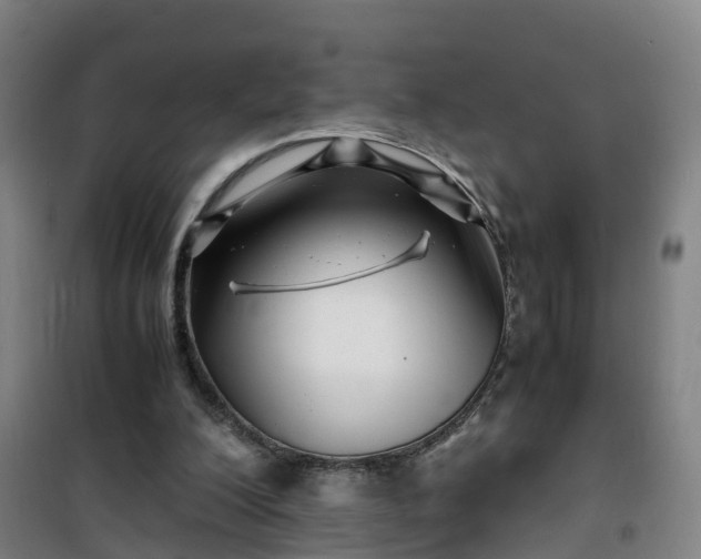 X0000101170200200807111100