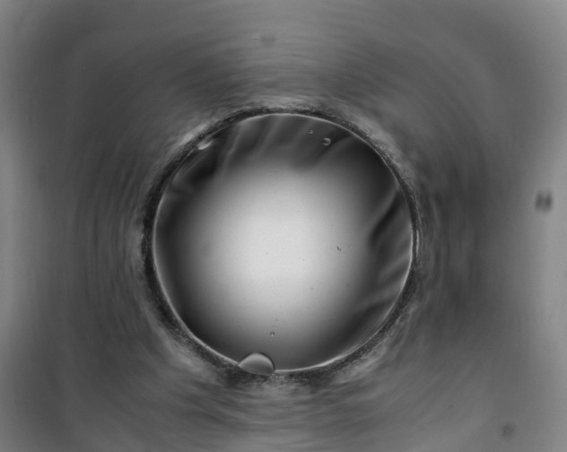 X0000101170201200807111100