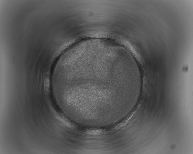 X0000101170202200807111100