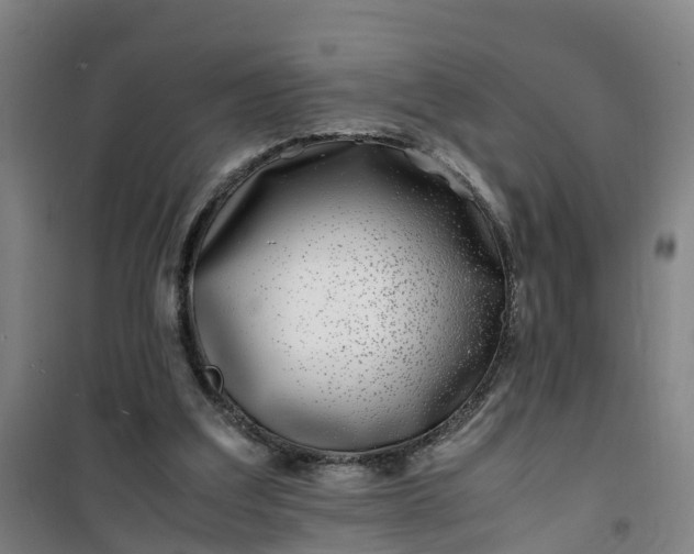 X0000101170203200807111100