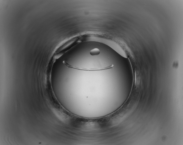 X0000101170204200807111100