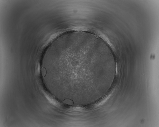 X0000101170205200807111100