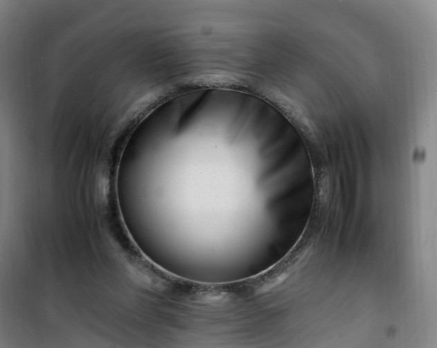X0000101170206200807111100