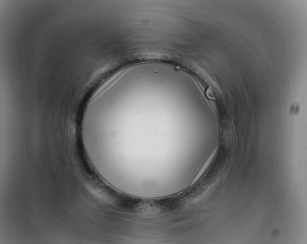 X0000101170207200807111100