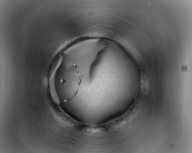 X0000101170208200807111100