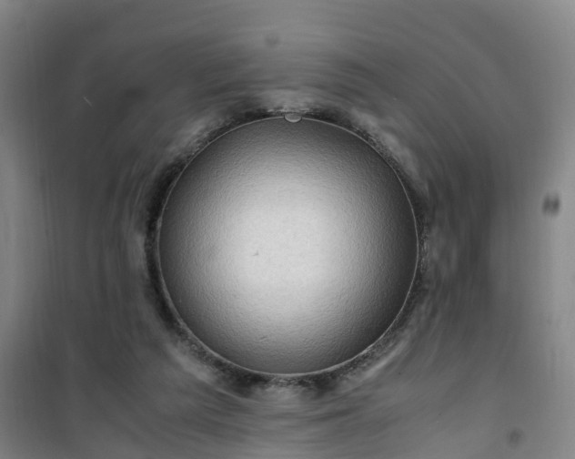 X0000101170209200807111059