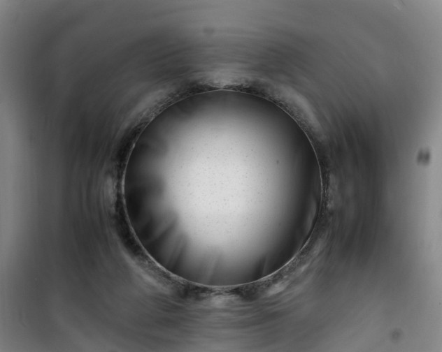 X0000101170210200807111059