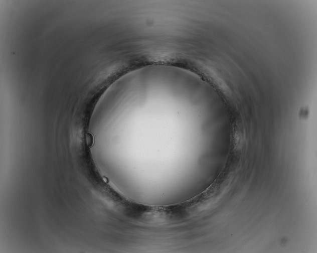 X0000101170211200807111059