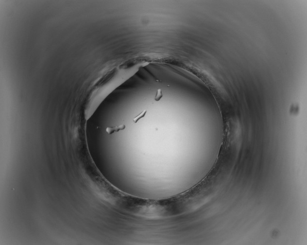 X0000101170212200807111059