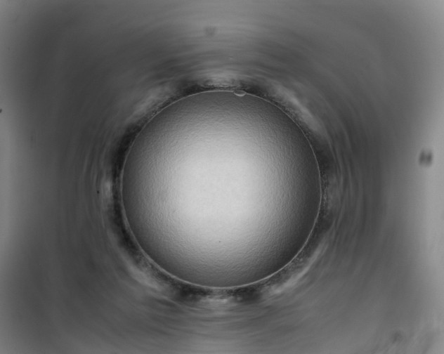 X0000101170213200807111059
