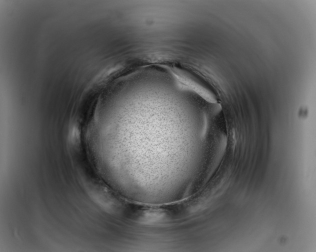 X0000101170214200807111059
