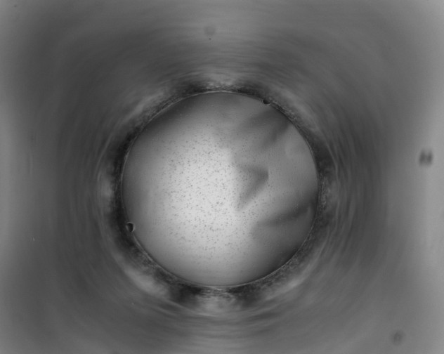 X0000101170215200807111059