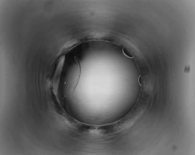 X0000101170216200807111059