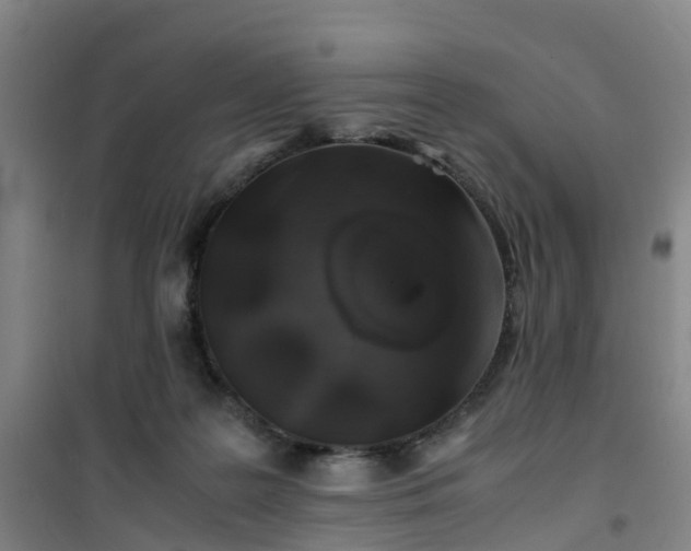 X0000101170219200807111059
