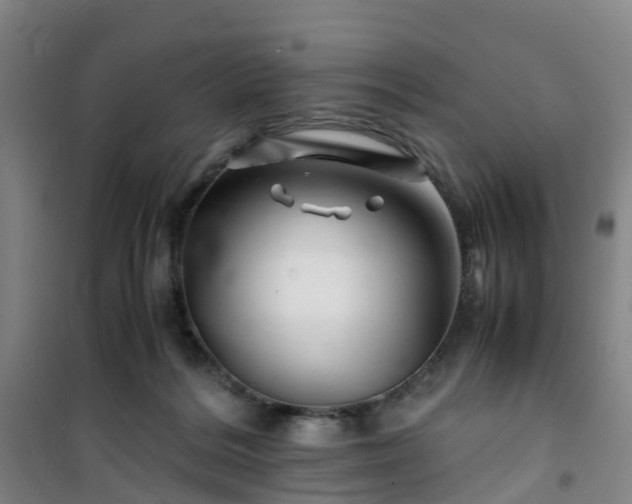 X0000101170220200807111059