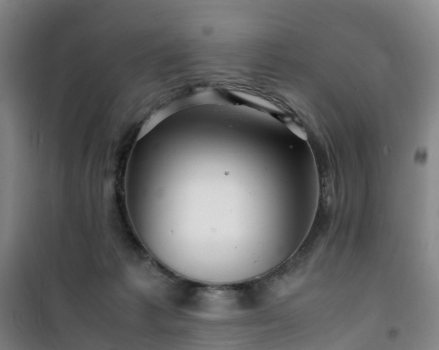 X0000101170221200807111059