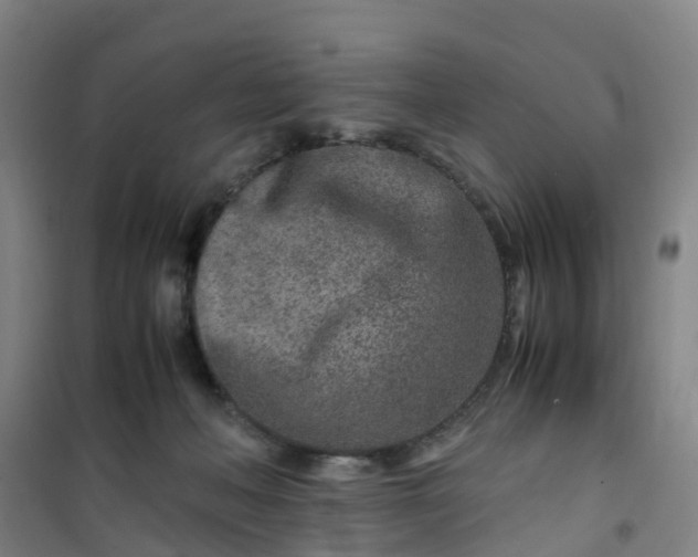 X0000101170222200807111059