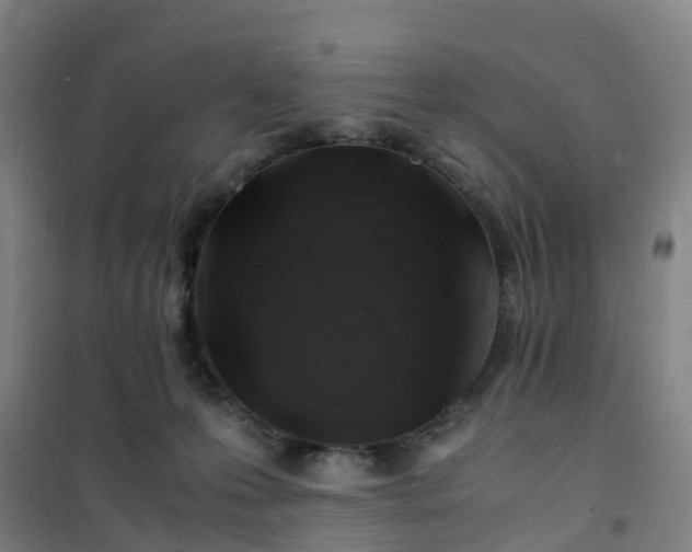 X0000101170223200807111059