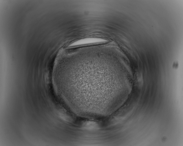 X0000101170224200807111059