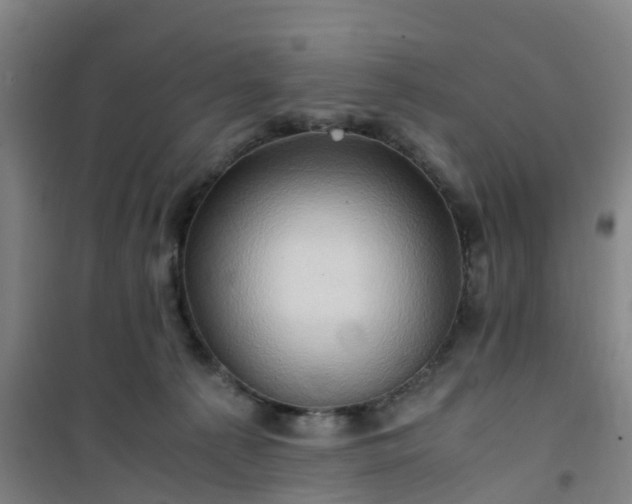 X0000101170225200807111059