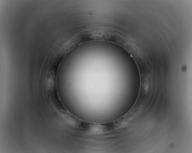 X0000101170226200807111059
