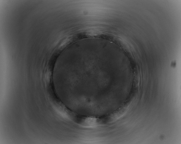 X0000101170227200807111059