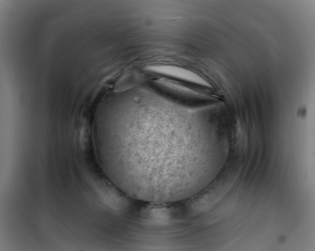 X0000101170228200807111059
