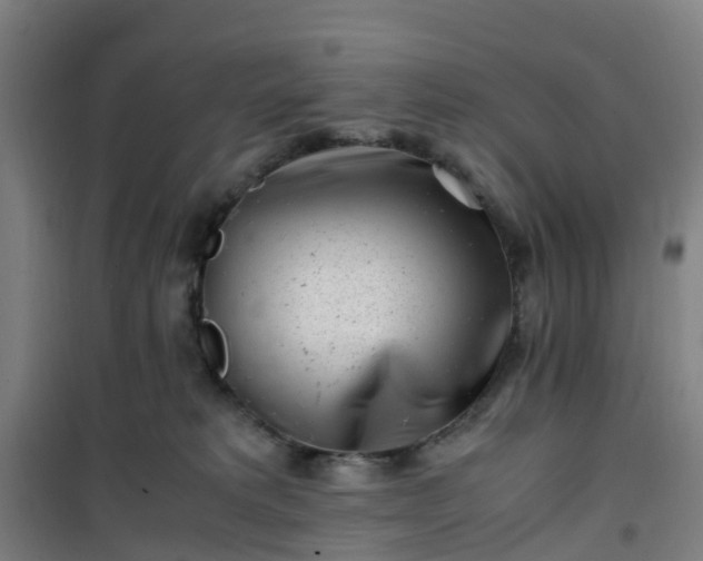 X0000101170229200807111059
